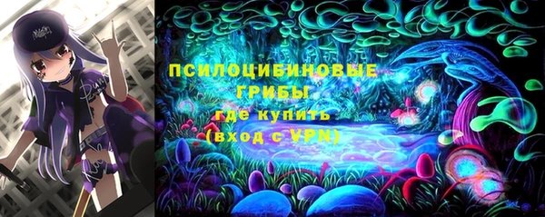apvp Козловка