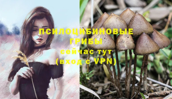 кокс Кодинск