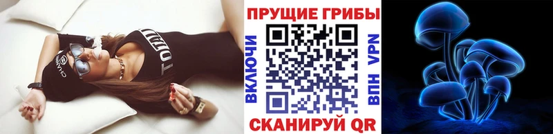 Галлюциногенные грибы ЛСД  дарнет шоп  Долгопрудный 